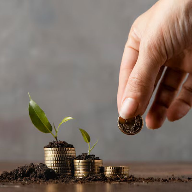 FINANCIAMENTO